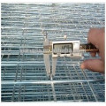 Welded wire mesh